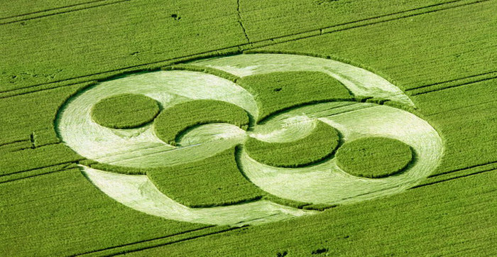 麥田怪圈圖片