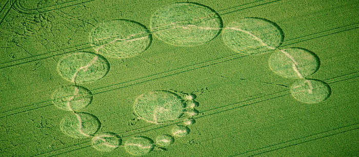 麥田怪圈圖片