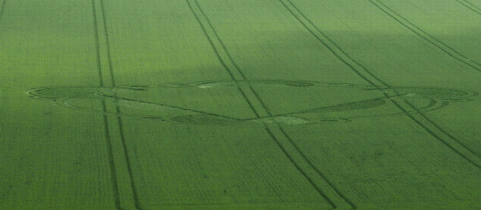 麥田怪圈圖片
